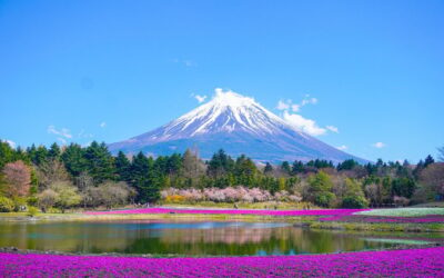 Oplev Japans skjulte perler: En rejseguide til uforglemmelige eventyr